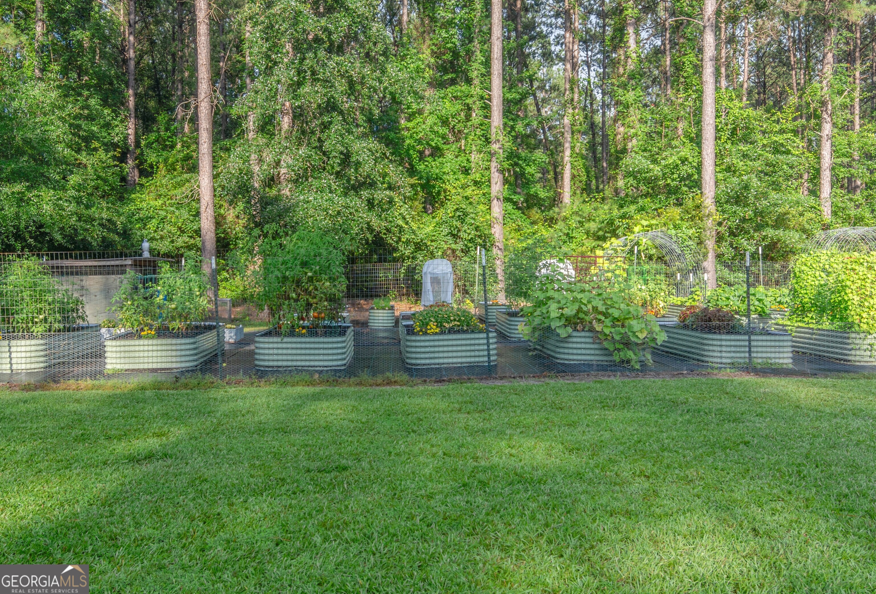 1269 Tarver Road Davisboro, GA 31018 - Photo 67 of 71