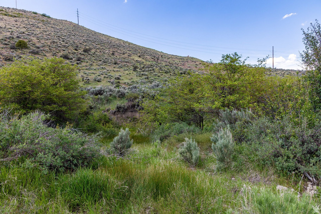 6325 North Elk Ridge, Unit 5 Peoa, UT 84061 - Photo 11 of 20