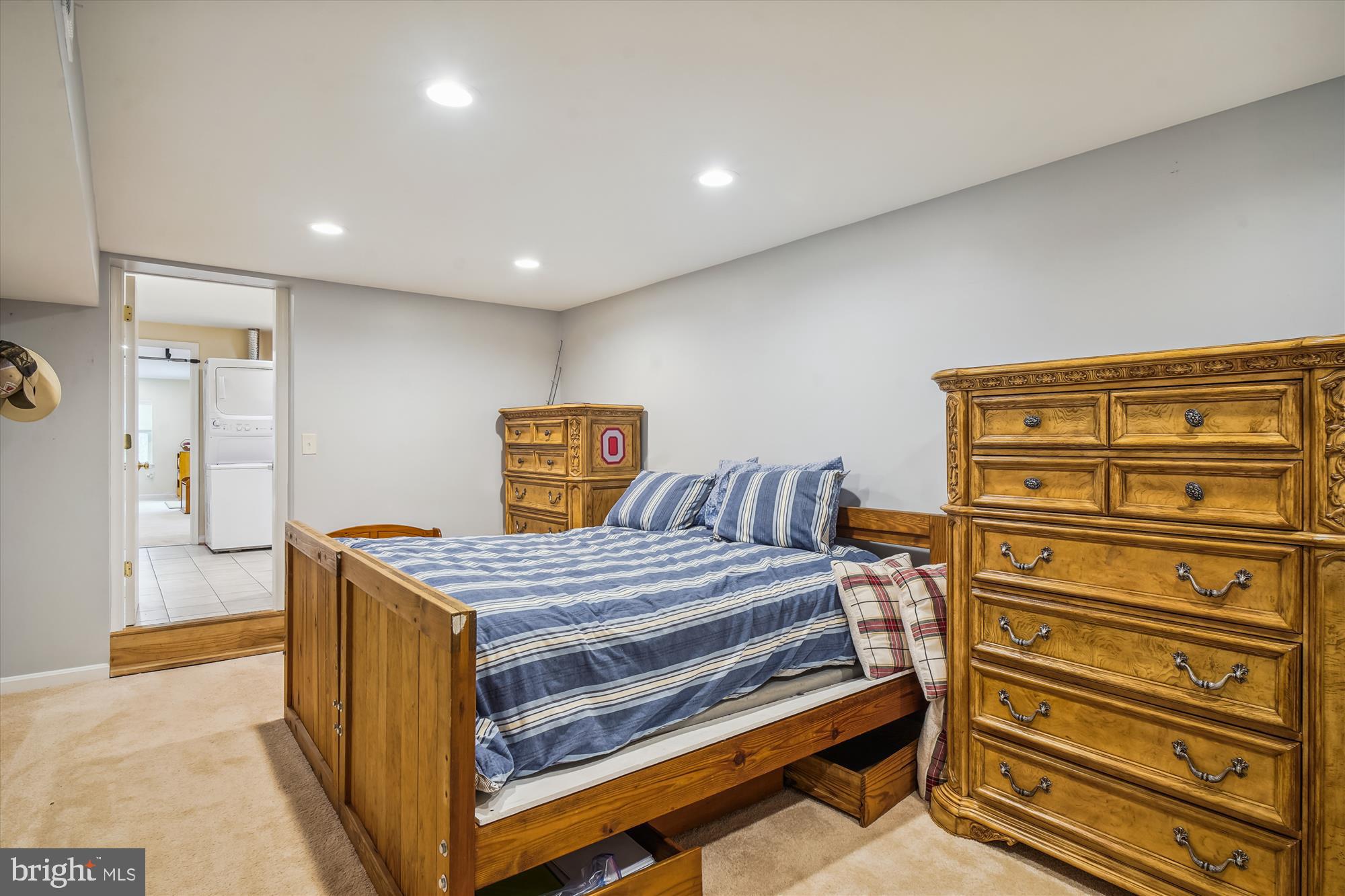 24709 Kings Valley Road Damascus, MD 20872 - Photo 56 of 110 Lower Level Bonus Room/Bedroom