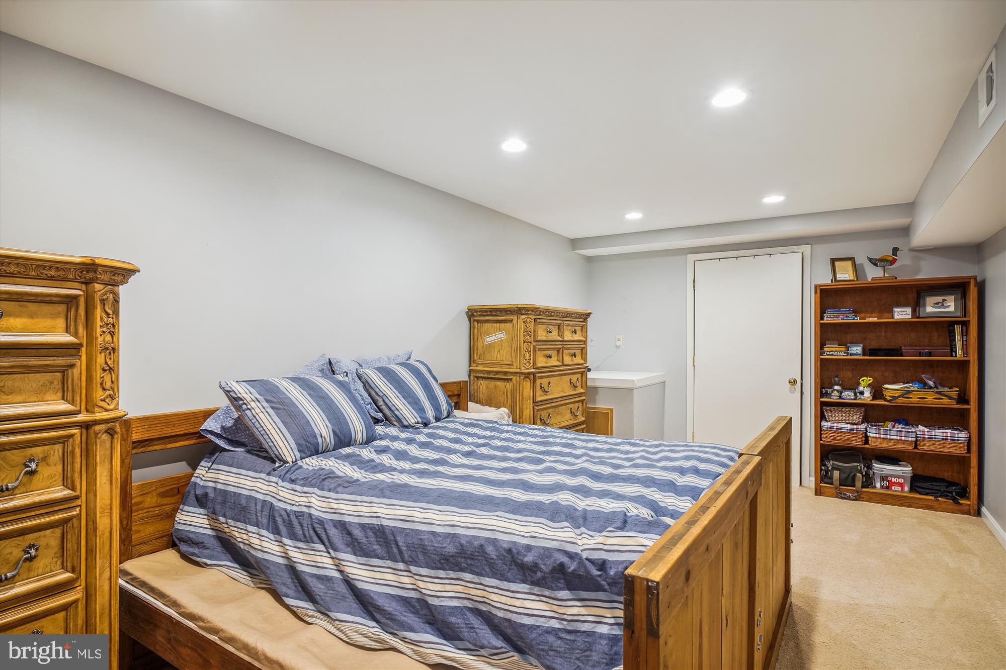24709 Kings Valley Road Damascus, MD 20872 - Photo 57 of 110 Lower Level Bonus Room/Bedroom