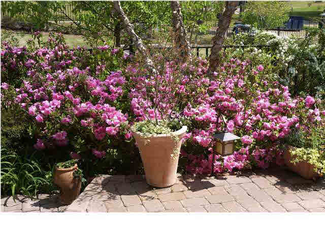 3 Waterstone Place Jackson, MS 39211 - Photo 20 of 25 Photo 20