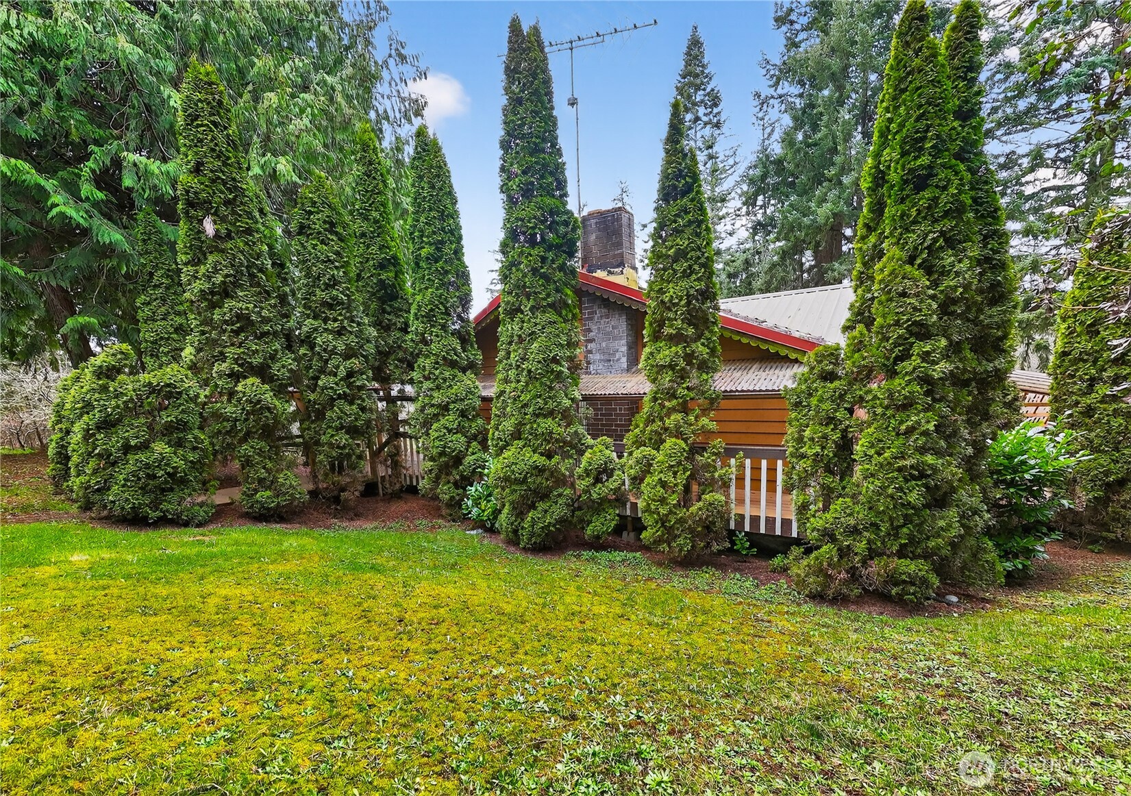 596 Forrest Way Camano Island, WA 98282 - Photo 3 of 39