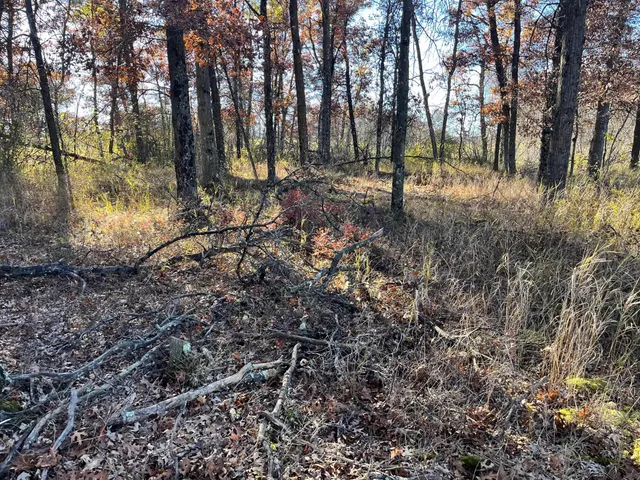 $185,000 | 591 Chicago, Coloma, WI 54930