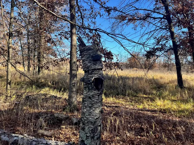 $185,000 | 591 Chicago, Coloma, WI 54930