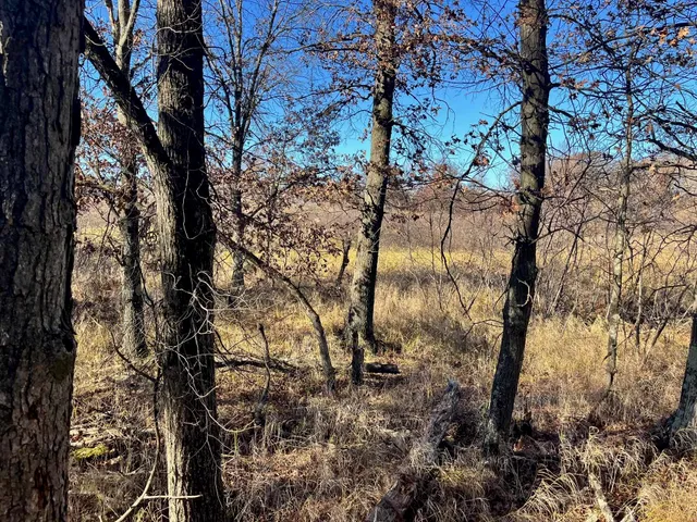 $185,000 | 591 Chicago, Coloma, WI 54930