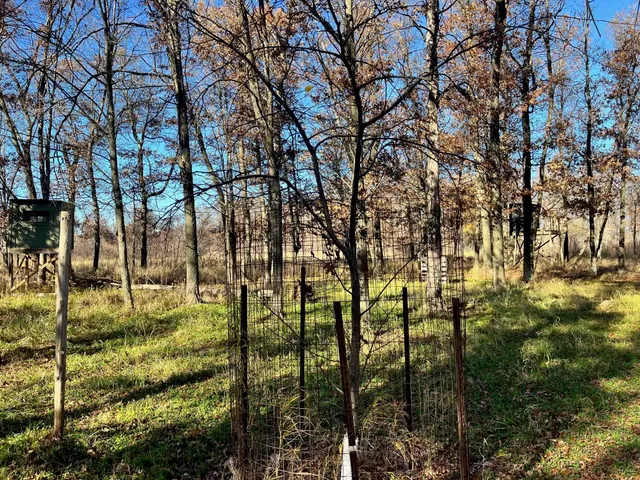 $185,000 | 591 Chicago, Coloma, WI 54930