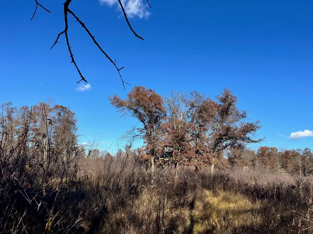 $185,000 | 591 Chicago, Coloma, WI 54930