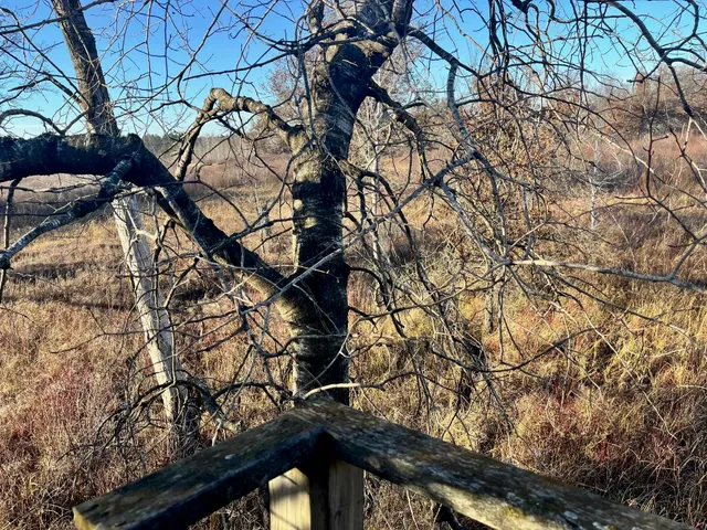 $185,000 | 591 Chicago, Coloma, WI 54930