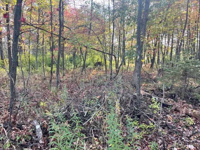 $185,000 | 591 Chicago, Coloma, WI 54930