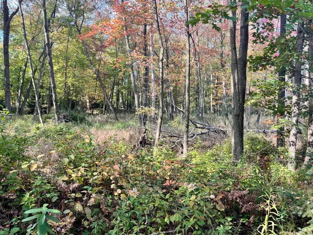 $185,000 | 591 Chicago, Coloma, WI 54930