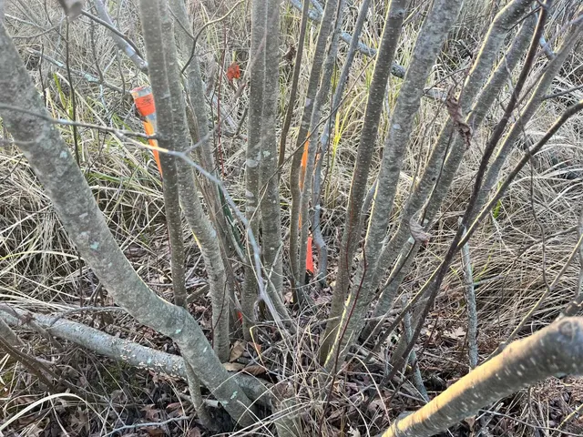 $185,000 | 591 Chicago, Coloma, WI 54930