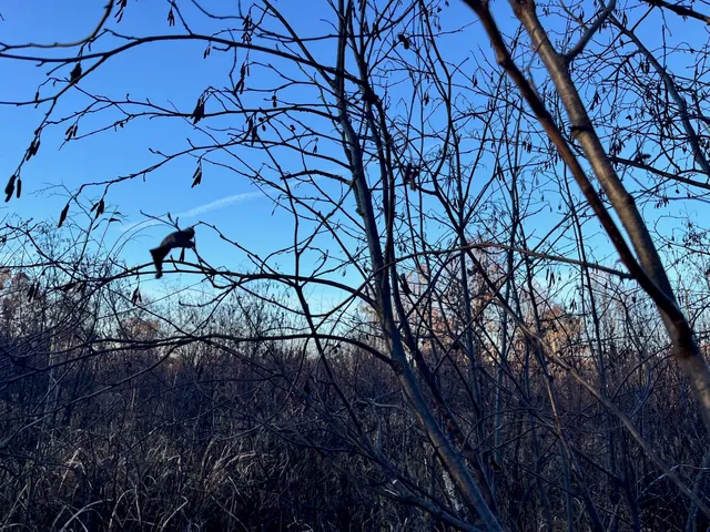 $185,000 | 591 Chicago, Coloma, WI 54930