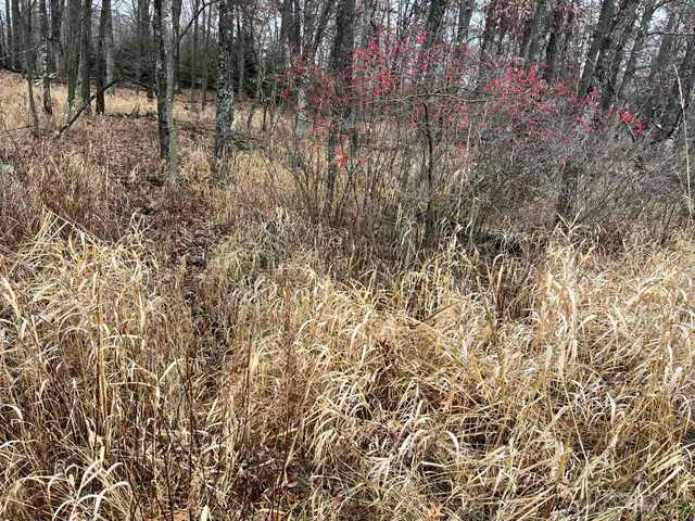 $185,000 | 591 Chicago, Coloma, WI 54930