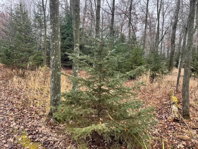 $185,000 | 591 Chicago, Coloma, WI 54930