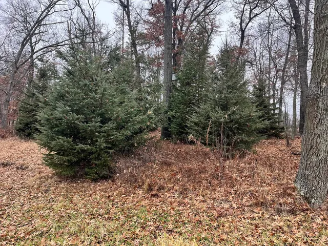 $185,000 | 591 Chicago, Coloma, WI 54930