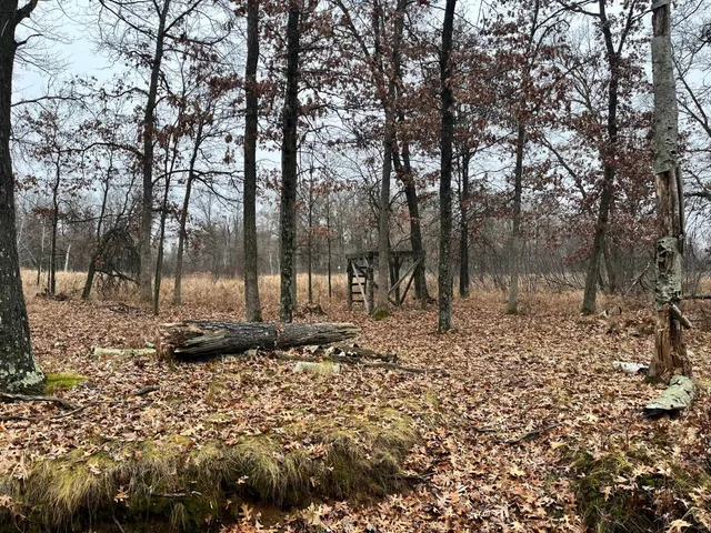 $185,000 | 591 Chicago, Coloma, WI 54930