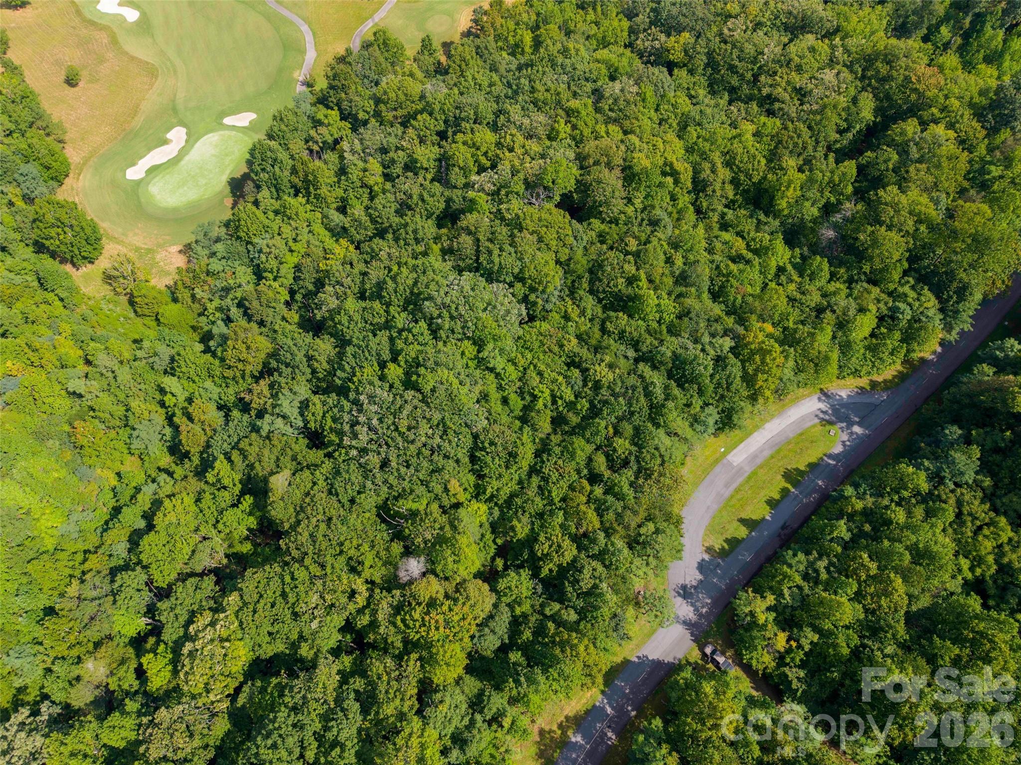 0 Deep Gap Farm Road East, Unit 2040 Mill Spring, NC 28756 - Photo 8 of 8 Gallery Image 8