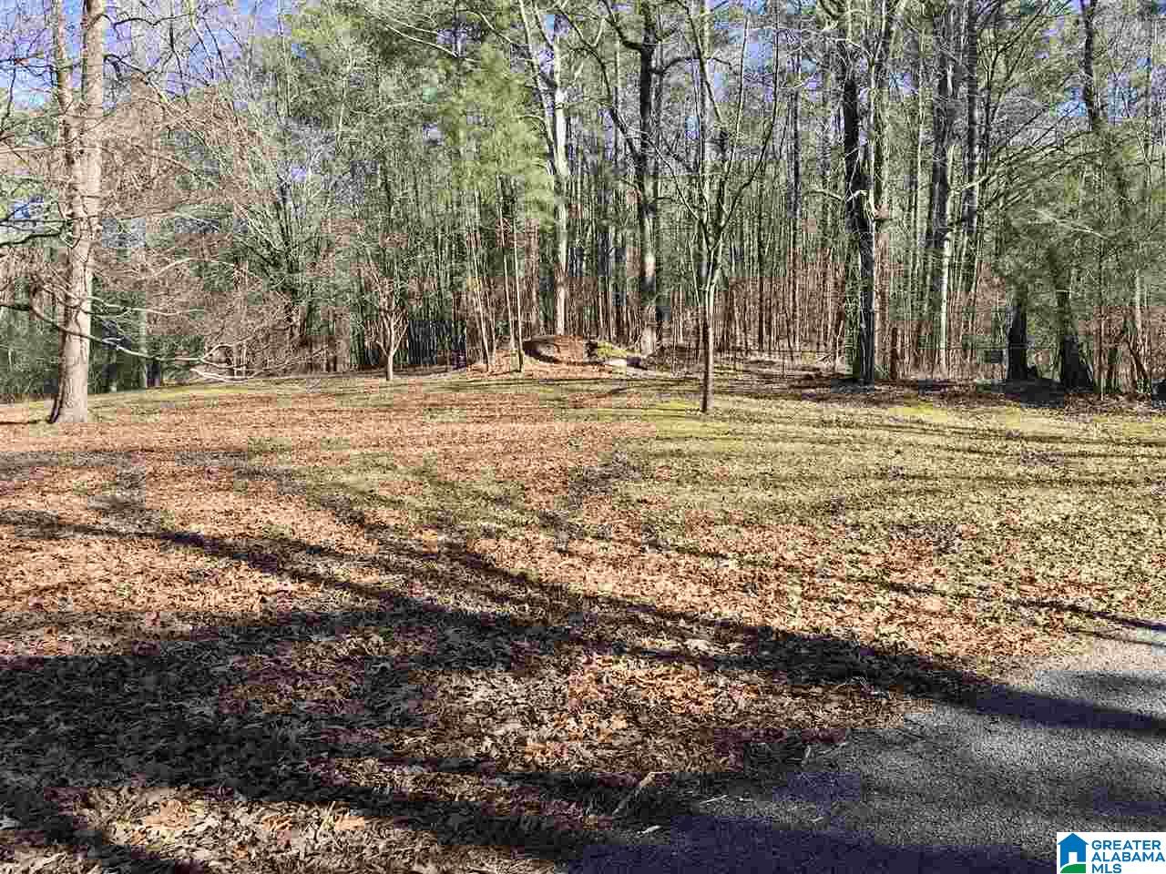 7465 Rodgers Road Southwest Leeds, AL 35094 - Photo 7 of 25