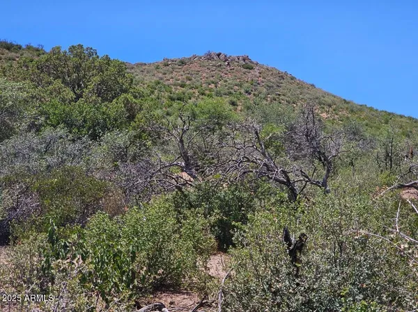 a view of a large mountain with trees in the background