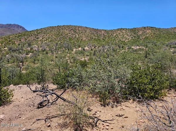 a view of a mountain