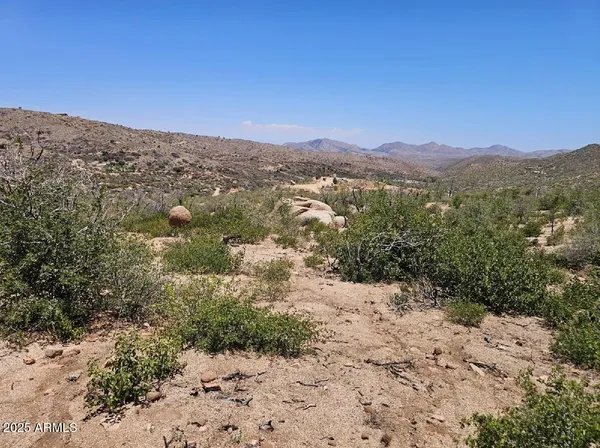 a view of a dry yard with mountains in the background
