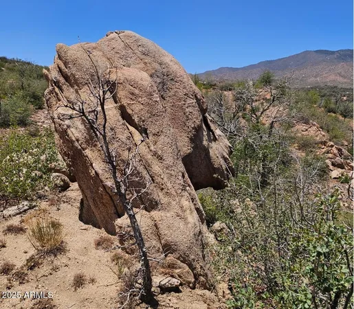 a view of a dry yard with mountains in the background