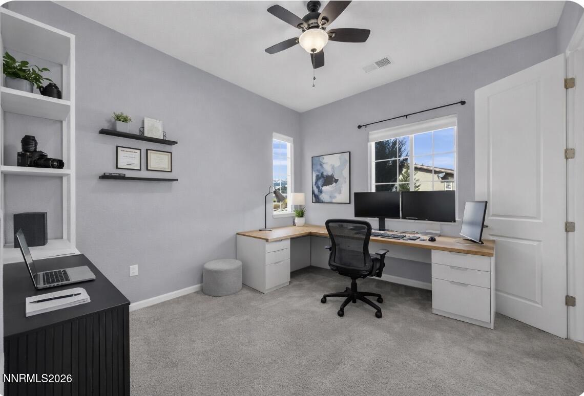 9886 Asfaloth Lane Reno, NV 89521 - Photo 23 of 42 IMG_9787