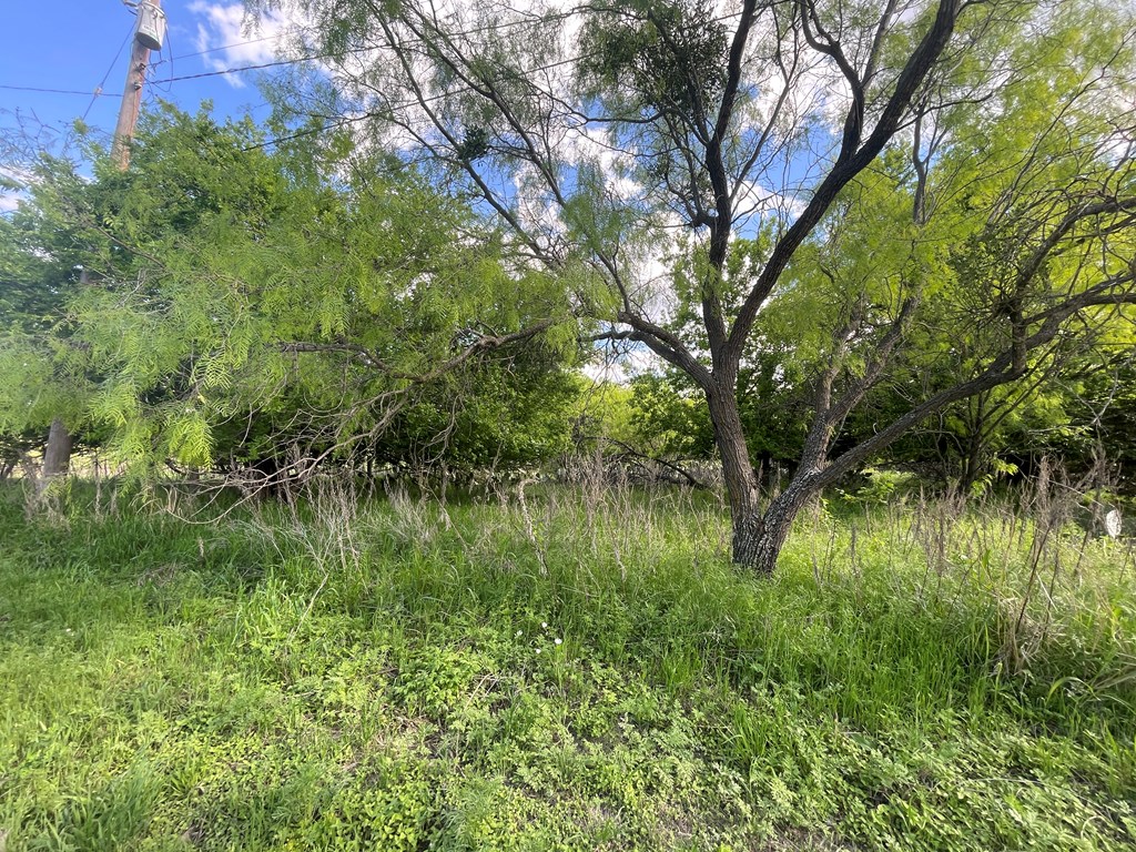 411 Front Street, Unit 3 5 Menard, TX 76859 - Photo 7 of 8