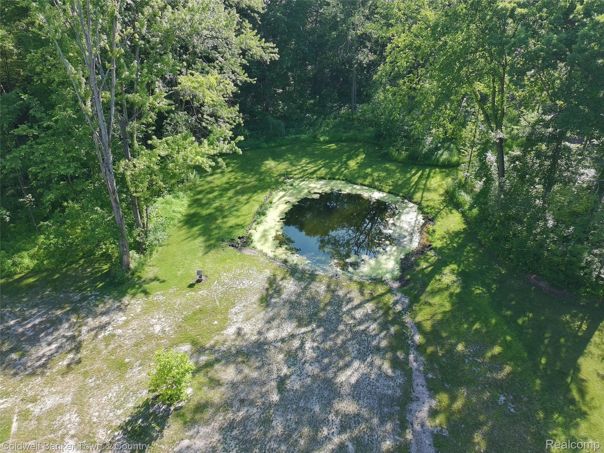 6150 North Fleming Road Howell, MI 48855 - Photo 4 of 23 Natural pond feature surrounded by lush green foliage and mature trees