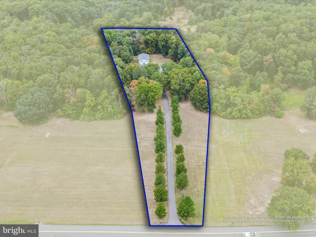 a vase of flowers sitting on a floor