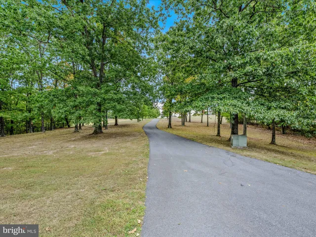 a picture of a bench in the back