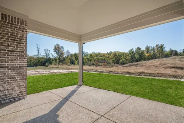 a view of a back yard