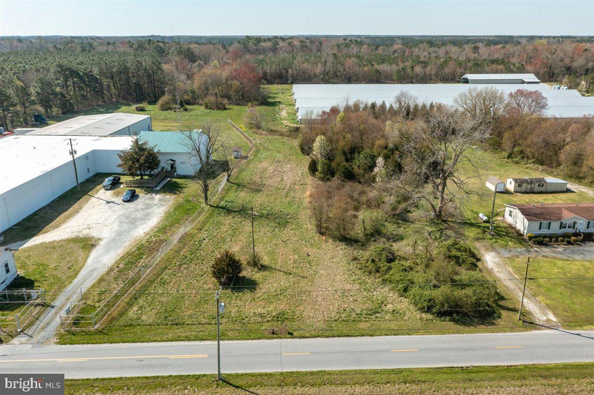 5704 Onley Road Girdletree, MD 21829 - Photo 13 of 14 Gallery Image 13