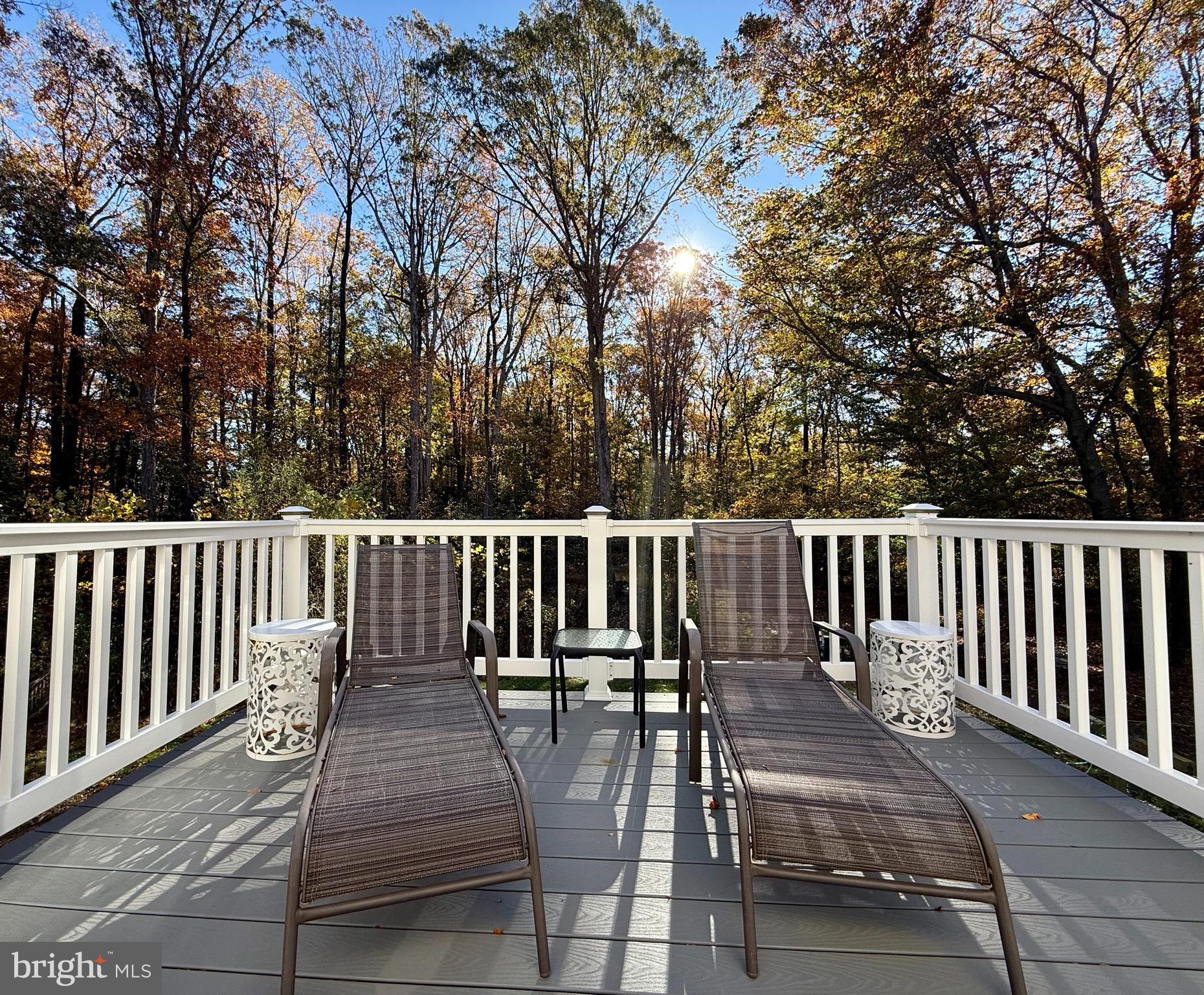 21405 Tanyard Road Preston, MD 21655 - Photo 22 of 43