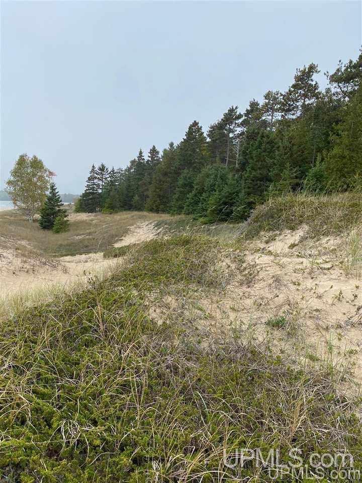 Tbd South Wiggins Point Trail Manistique, MI 49854 - Photo 16 of 18