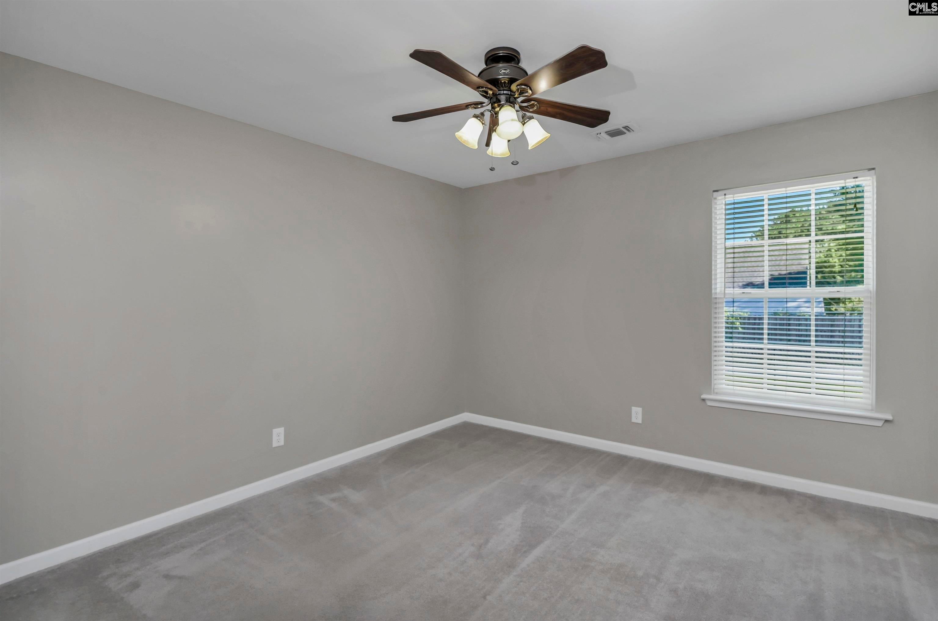 539 Old Bush River Road Chapin, SC 29036 - Photo 33 of 52 Gallery Image 33