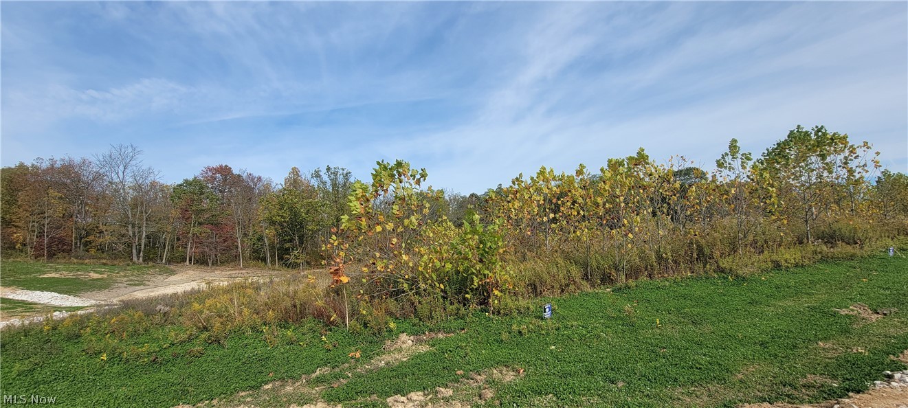 2 Hidden Ridge Road North Royalton, OH 44133 - Photo 6 of 13