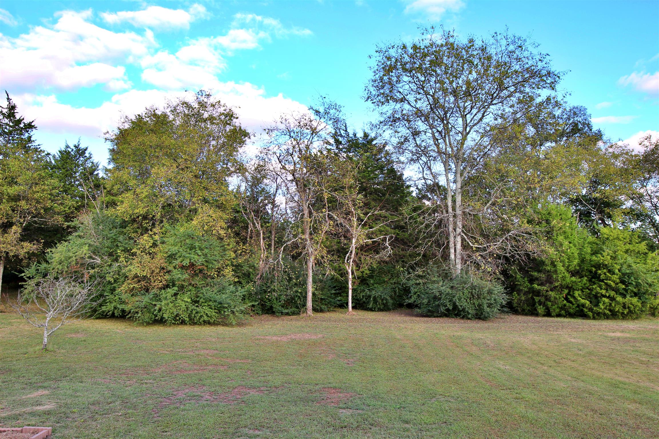 592 Windy Road Mount Juliet, TN 37122 - Photo 24 of 24 a view of a field with trees in front of it