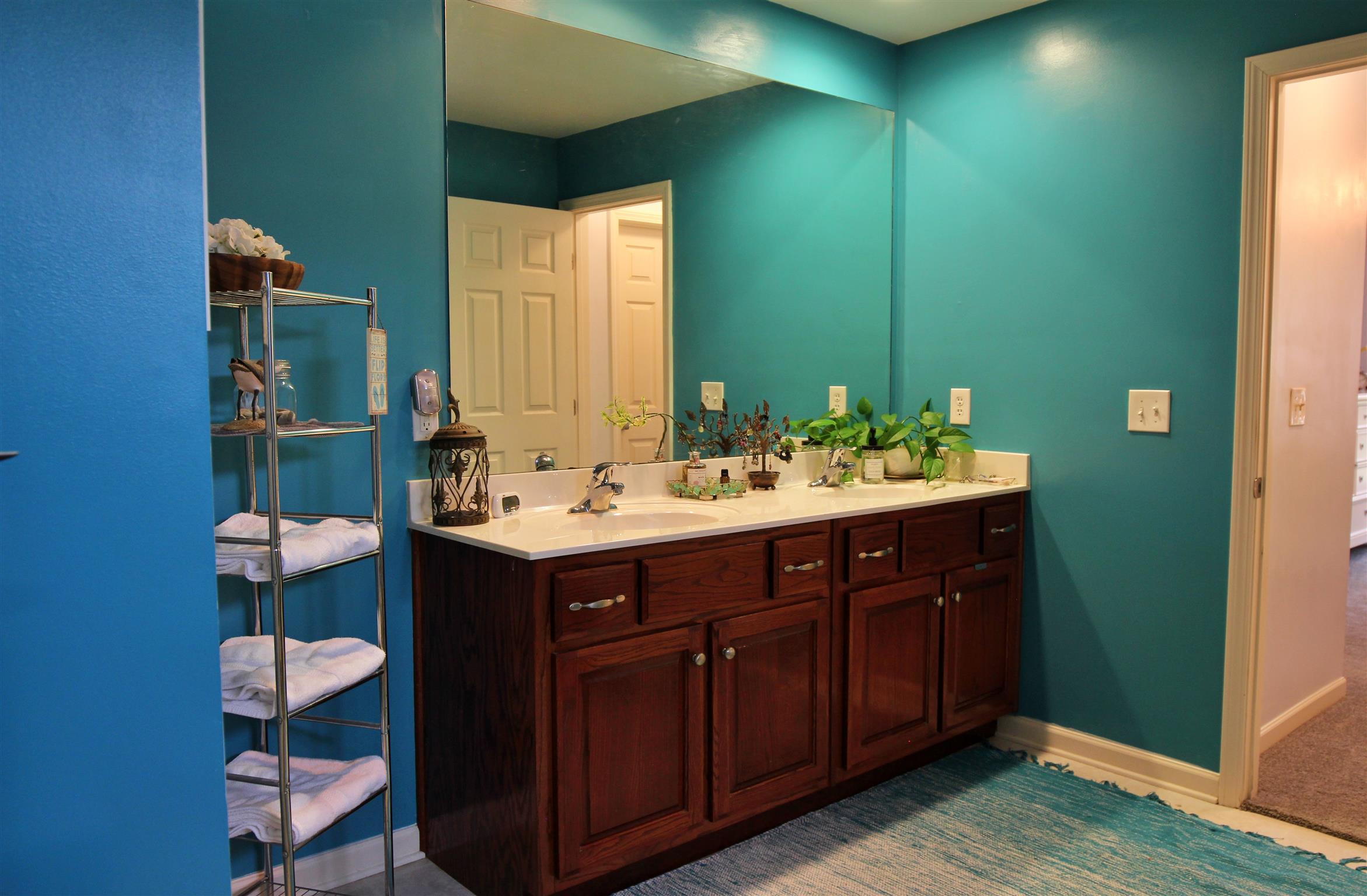 592 Windy Road Mount Juliet, TN 37122 - Photo 6 of 24 a bathroom with a sink and a mirror