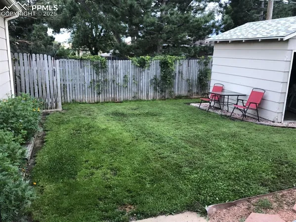 a view of backyard with wooden fence and a large tree