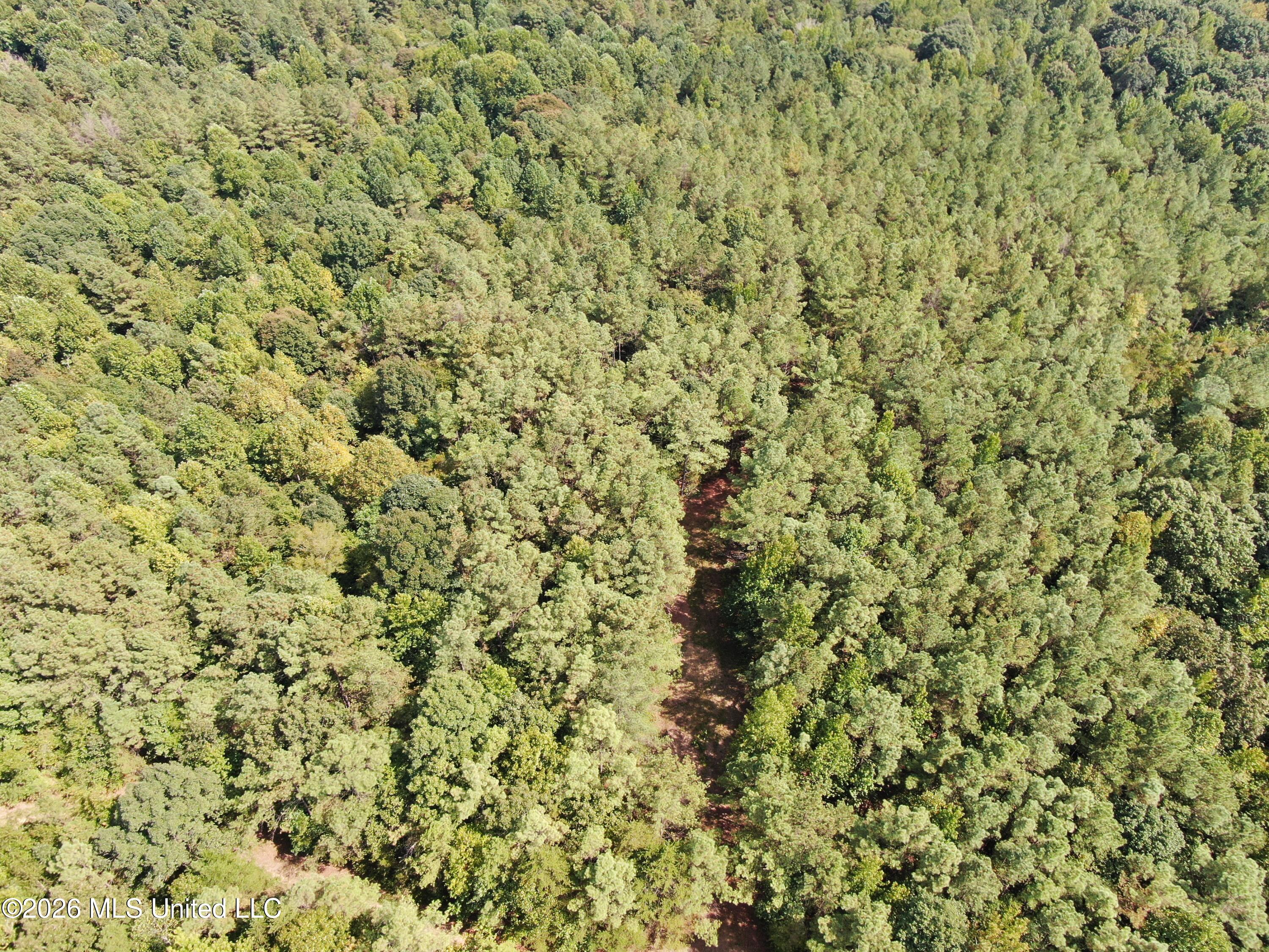 700 Front Road Toone, TN 38381 - Photo 1 of 31 DJI_0131