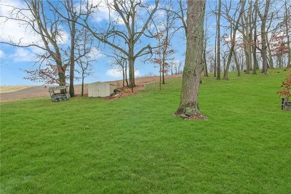 a view of a park with large trees