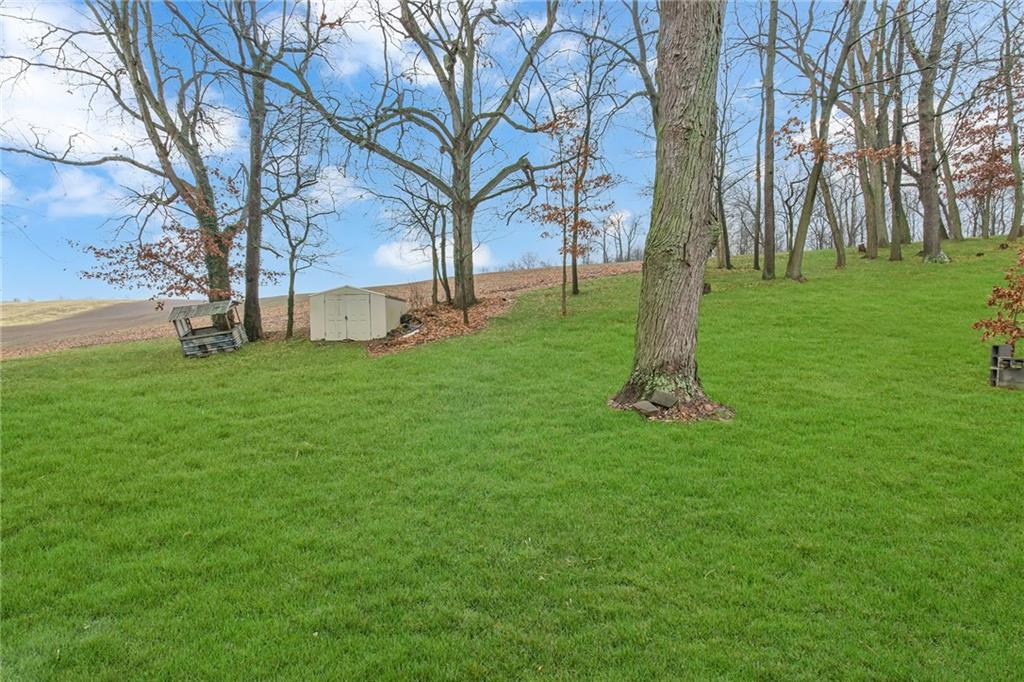 101 2nd Street Midland, PA 15059 - Photo 24 of 37 a view of a tree in front of a house