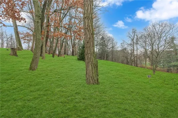 a view of a park with large trees