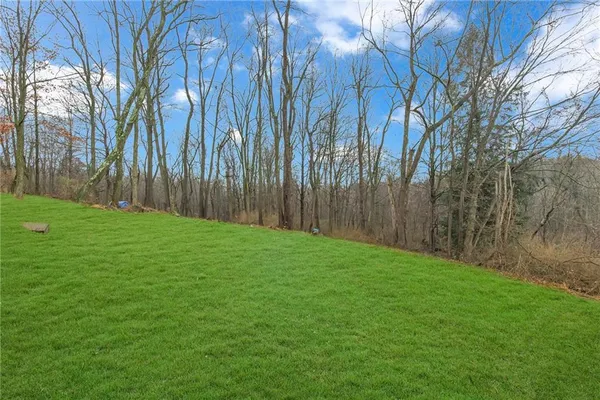a view of a house with backyard and a tree