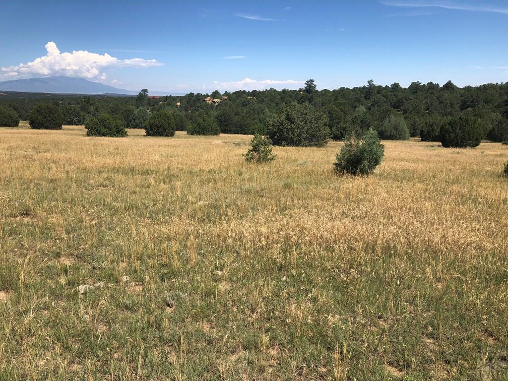 Lot 30 Silver Spur Road Walsenburg, CO 81089 - Photo 4 of 36 Gallery Image 4
