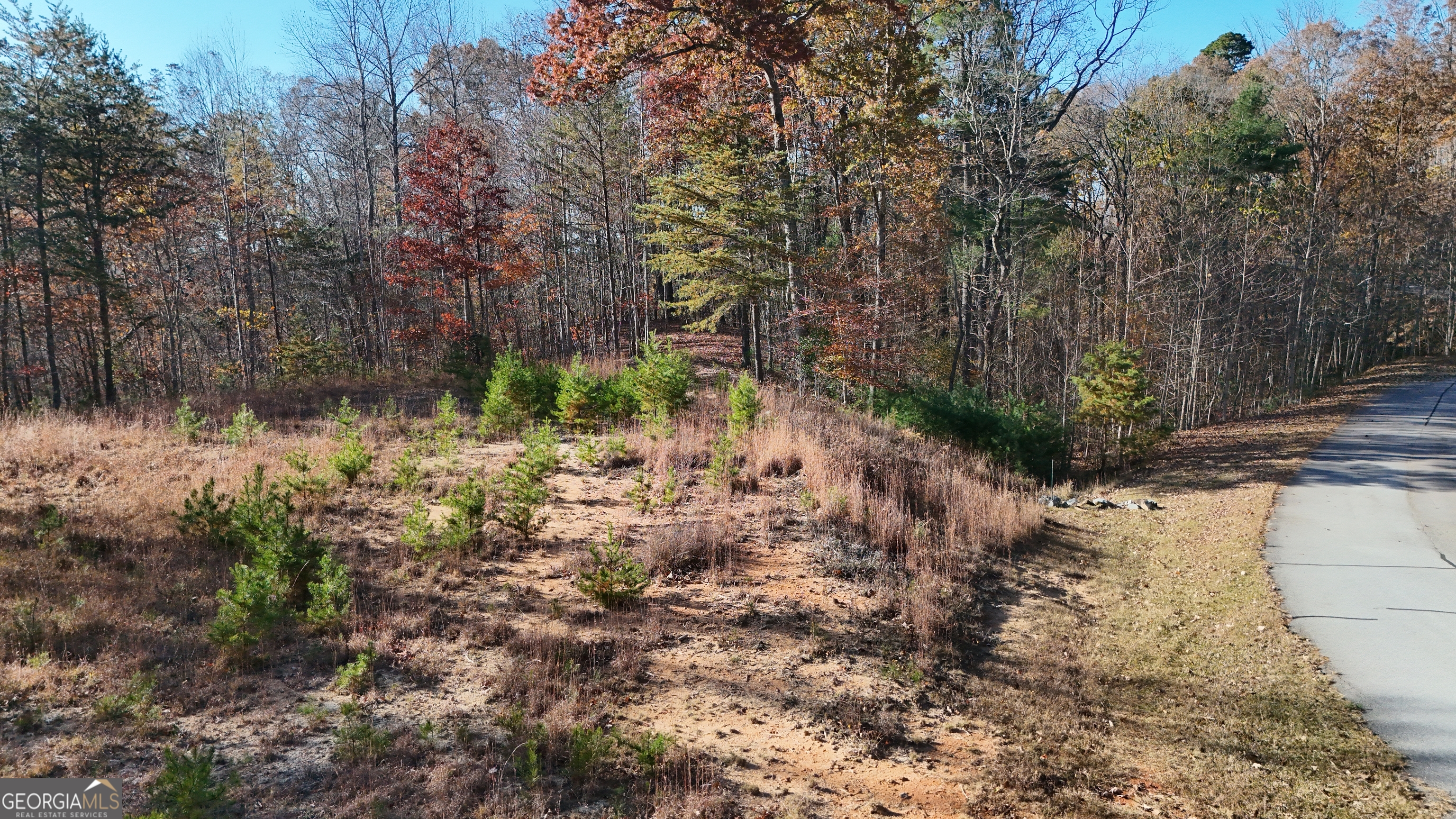 Lot 197 Spring Winds Drive Cleveland, GA 30528 - Photo 6 of 7