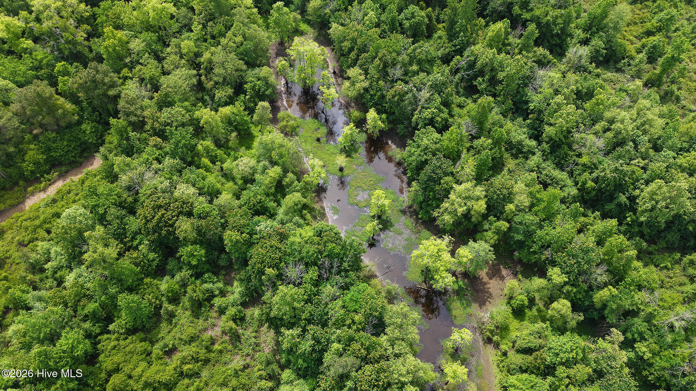 1016 Wiley Gaskins Road Grifton, NC 28530 - Photo 74 of 80 81-print-Drone 1016 Wiley Gaskins Road-1