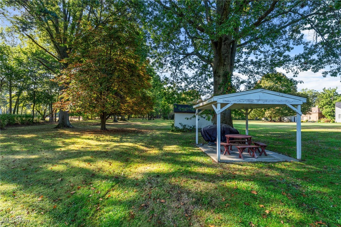 35221 Chestnut Ridge Road North Ridgeville, OH 44039 - Photo 18 of 48 View of green lawn featuring view of scattered trees and a patio