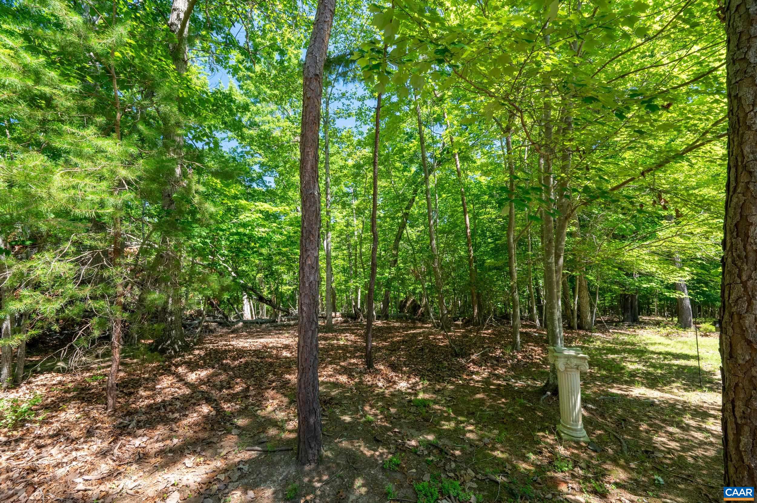 16 Cliftwood Road Palmyra, VA 22963 - Photo 44 of 69
